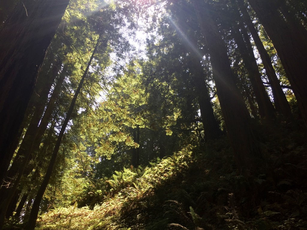 We spent much of our time just appreciating GOD's beauty.