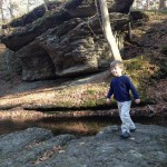 IMG_0105 (1280×960)