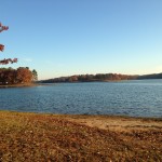 IMG_0113 (1280×960)