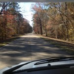 IMG_0124 (1280×960)