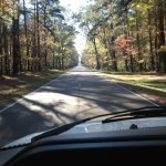 IMG_0129 (1280×960)