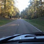 IMG_0141 (1280×960)