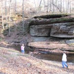 IMG_9920 (1280×853)