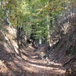 IMG_9961 (1280×853)