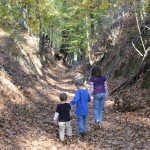 IMG_9966 (1280×853)