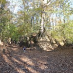 IMG_9979 (1280×853)