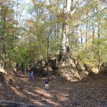 IMG_9980 (1280×853)