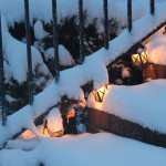IMG_0855